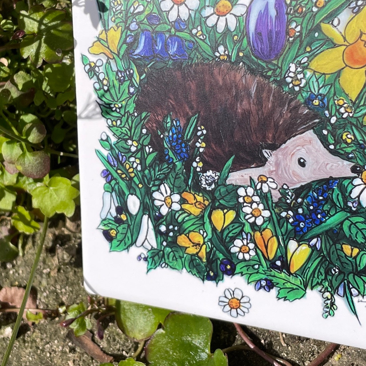 Hedgehog in spring~ Ceramic coaster