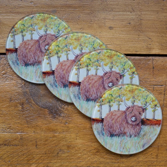 Hamish~ Glass coaster