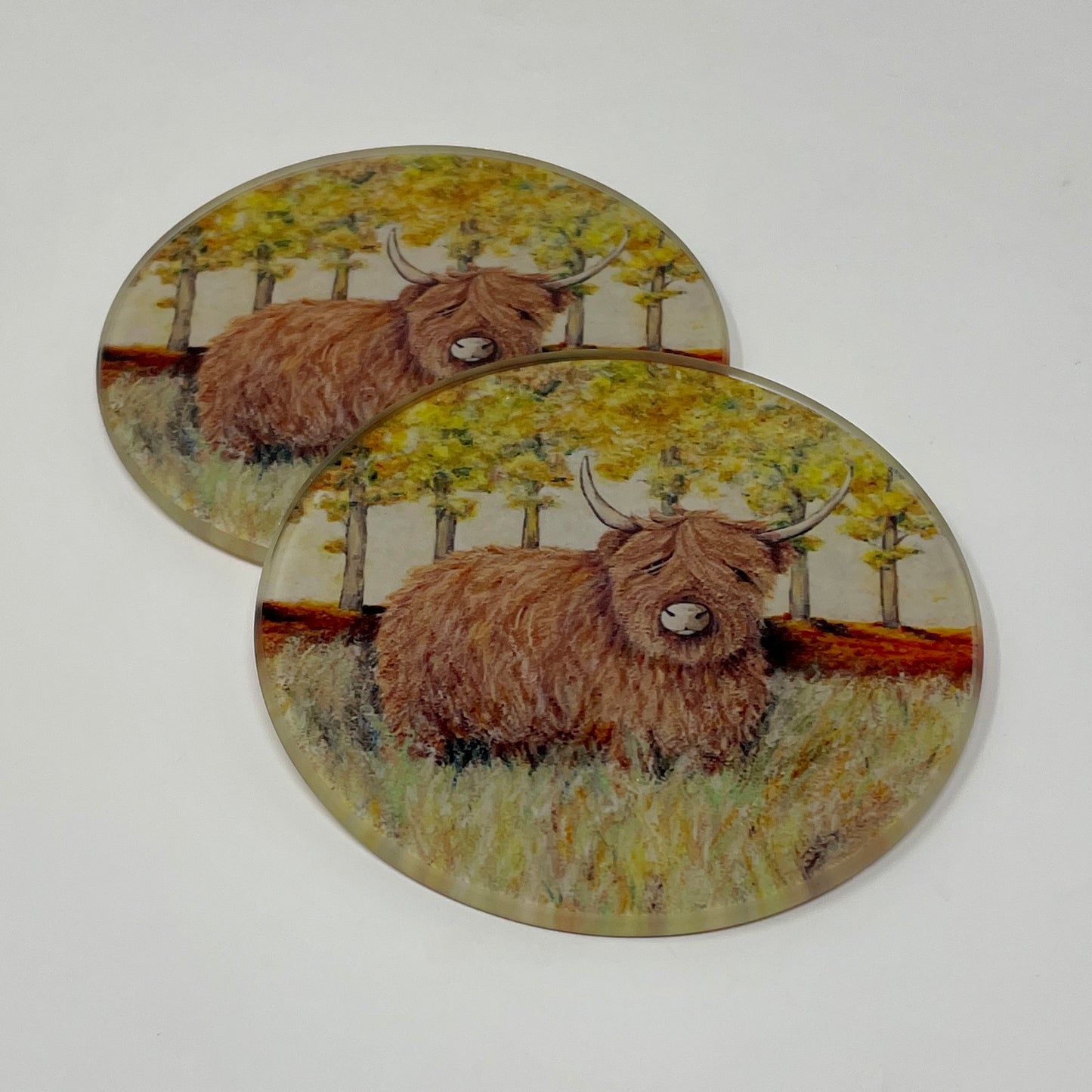 Hamish~ Glass coaster
