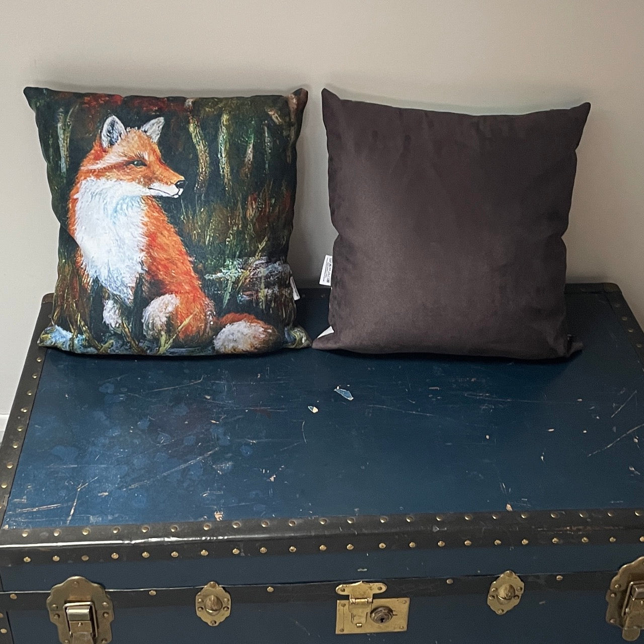 Mr Fox~ Cushion