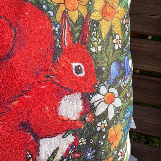 Squirrel~ Cushion