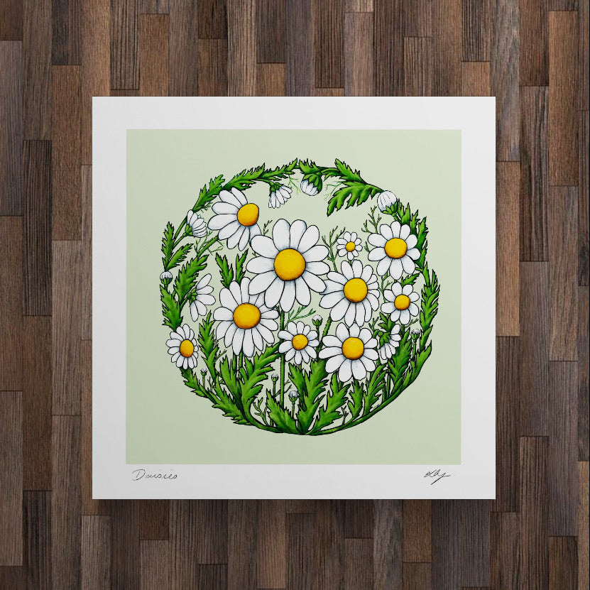 Art Print ~ Daisies