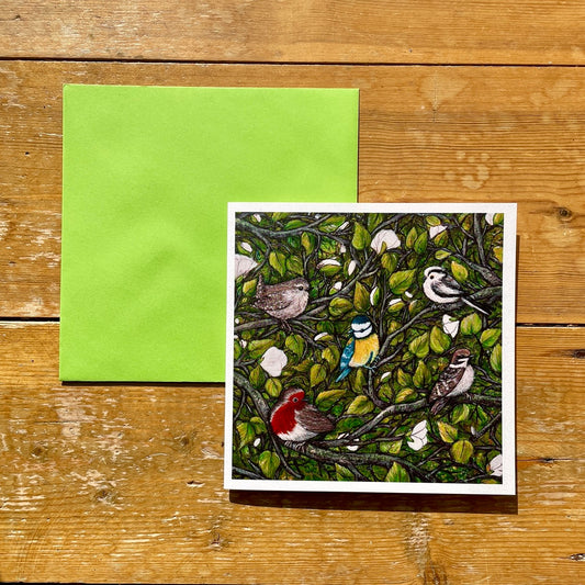 Card~ Neighbours