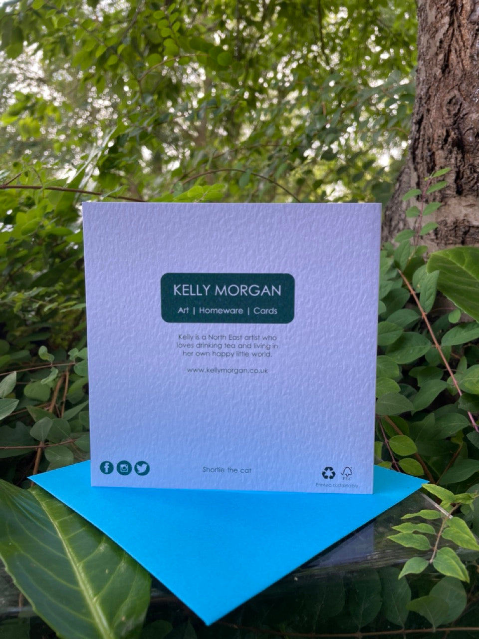 Card~Shortie the cat