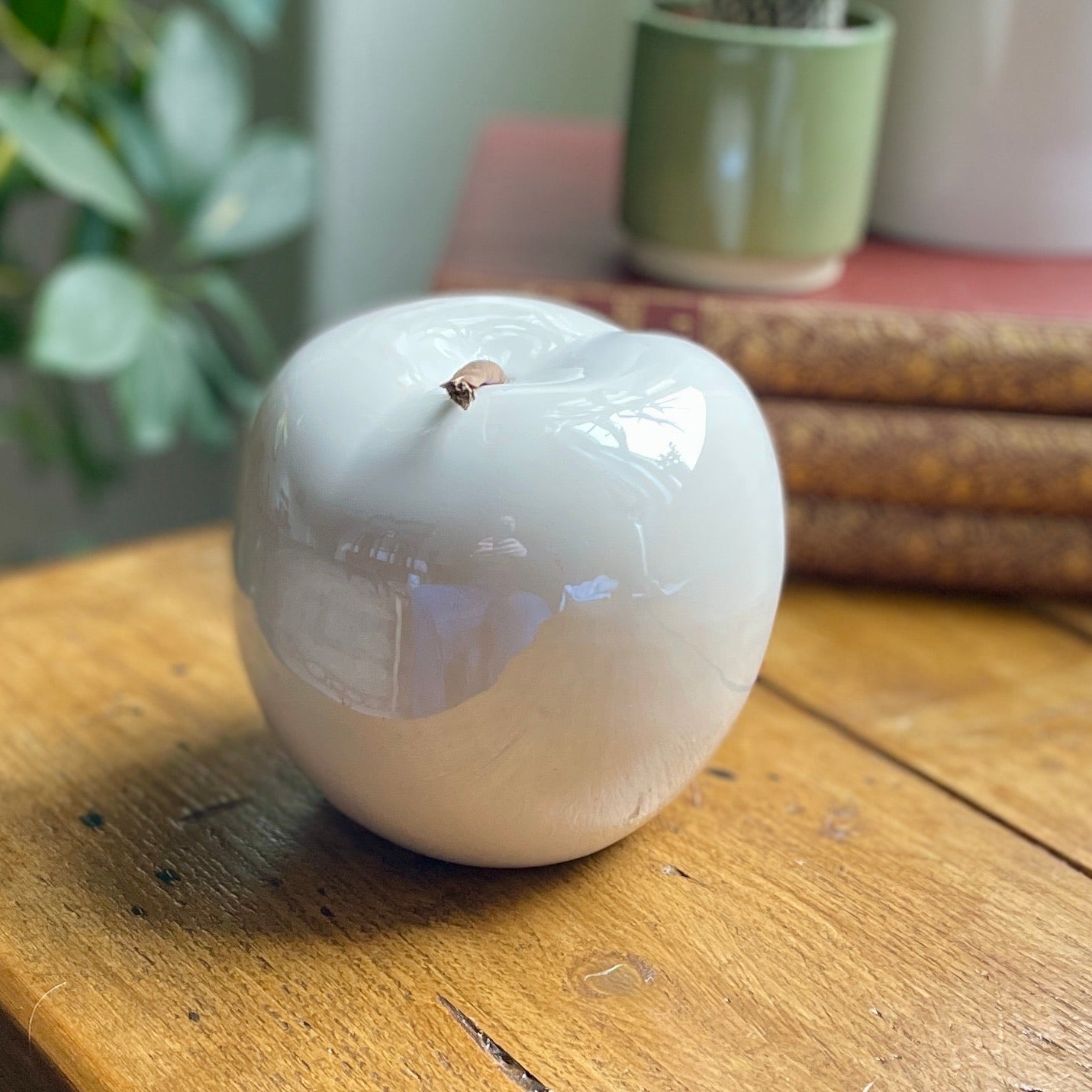 Apple of my eye~ Ceramic apple