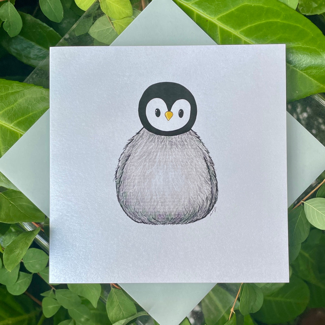 Card~Baby Penguin