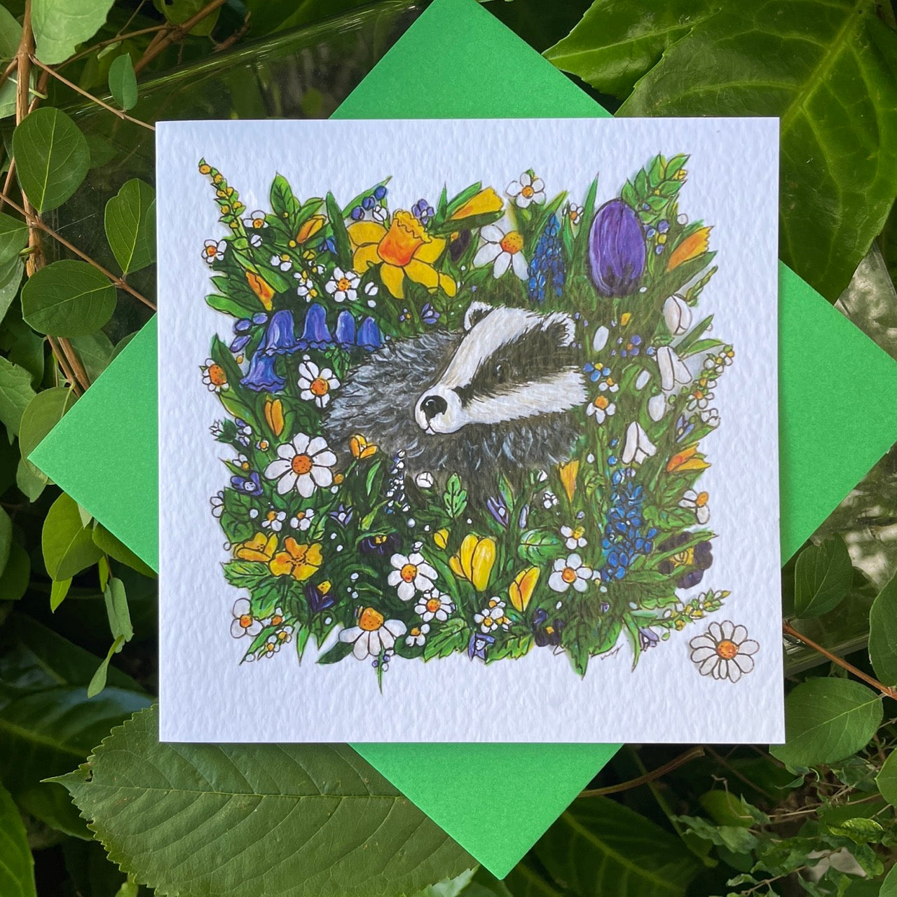 Card~Badger in Spring