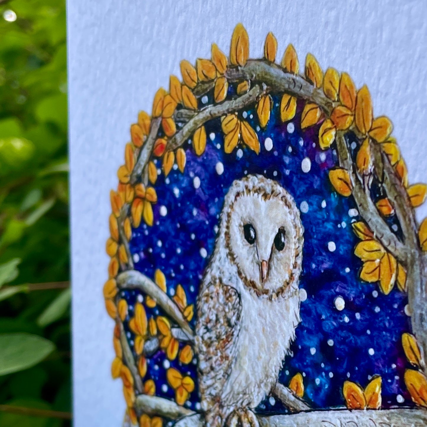 Card~Barn Owl