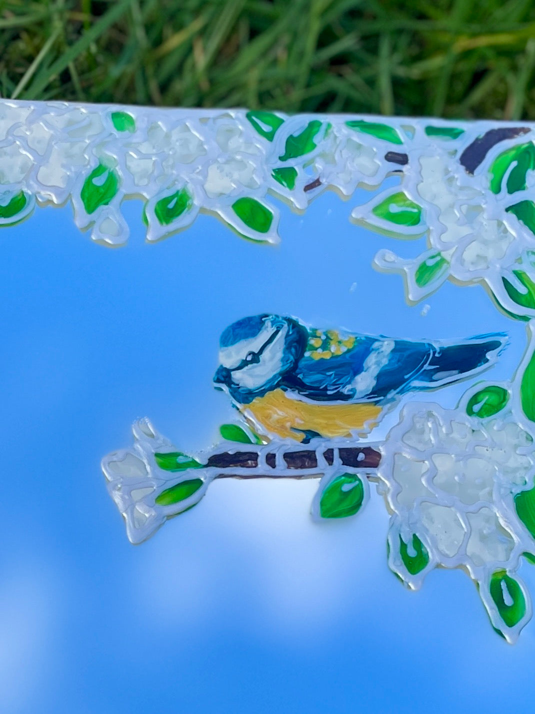 Bluetit garden~ Mirror