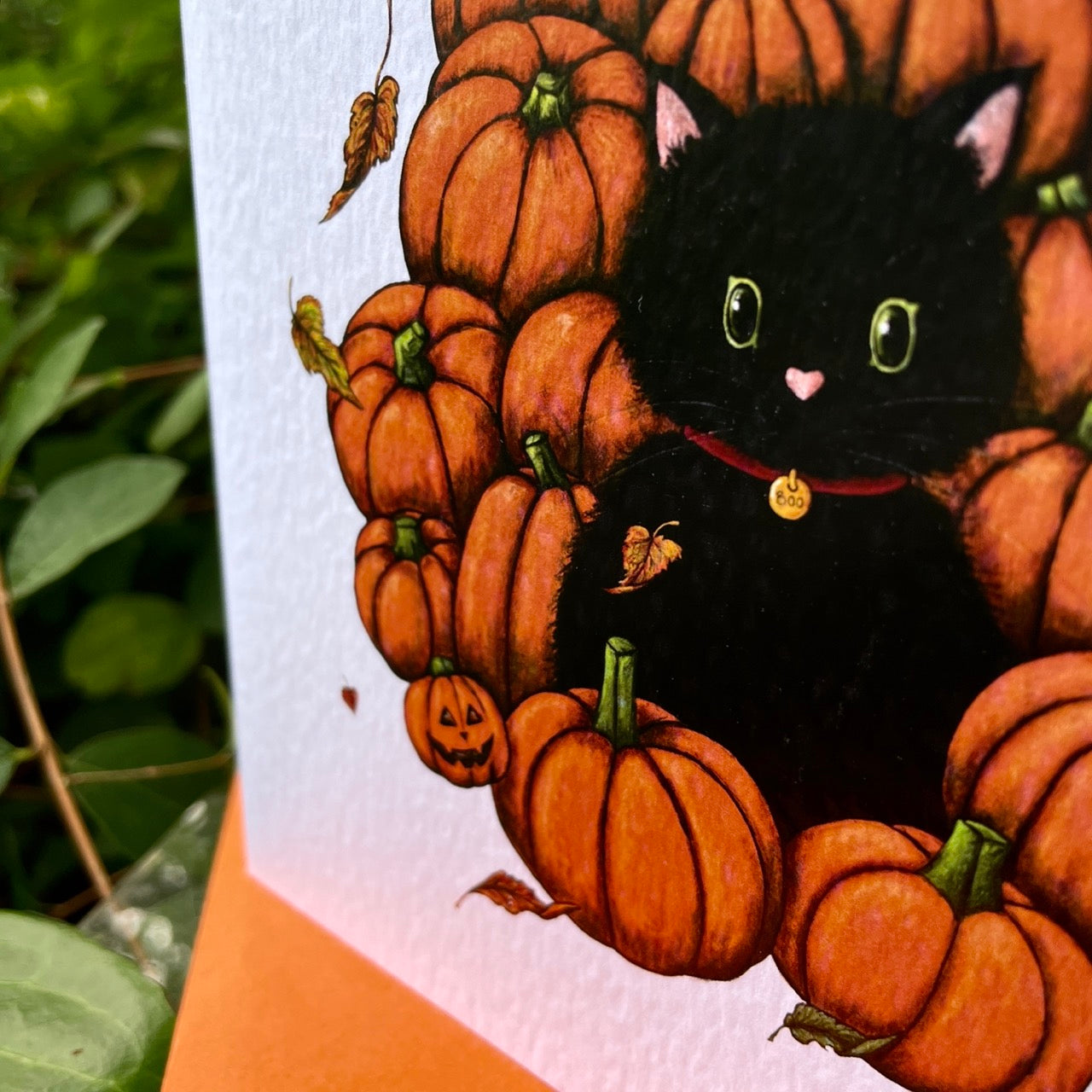 Card~Cat amongst the Pumpkins