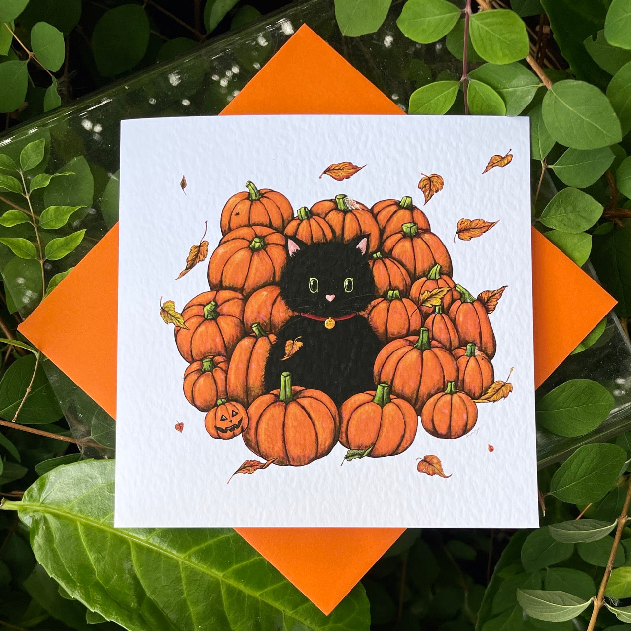 Card~Cat amongst the Pumpkins
