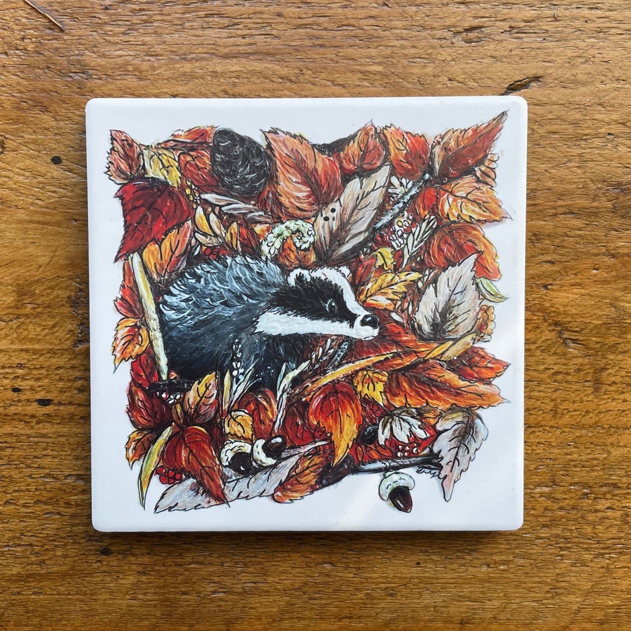 Badger in autumn~ Ceramic coaster