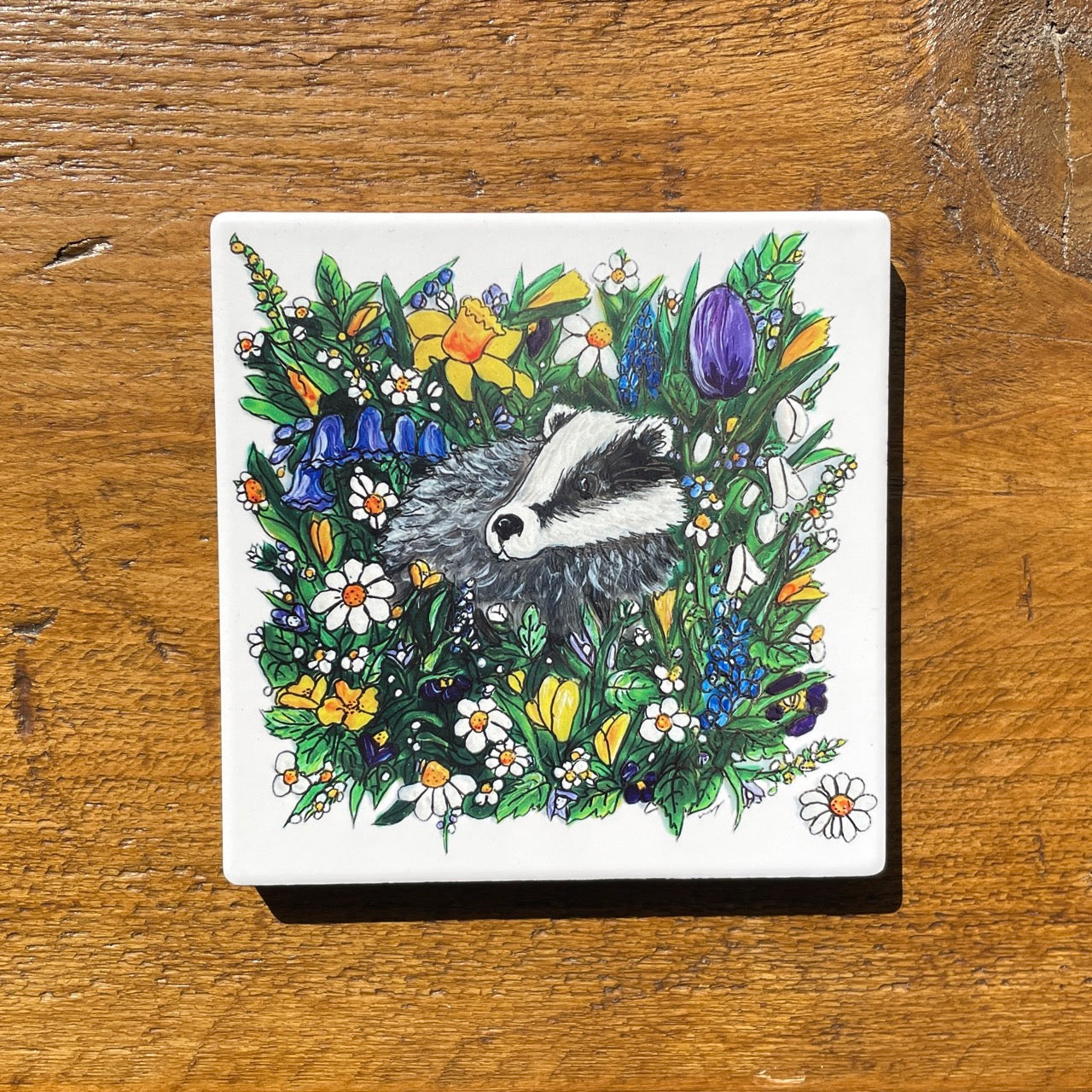 Badger in spring~ Ceramic coaster