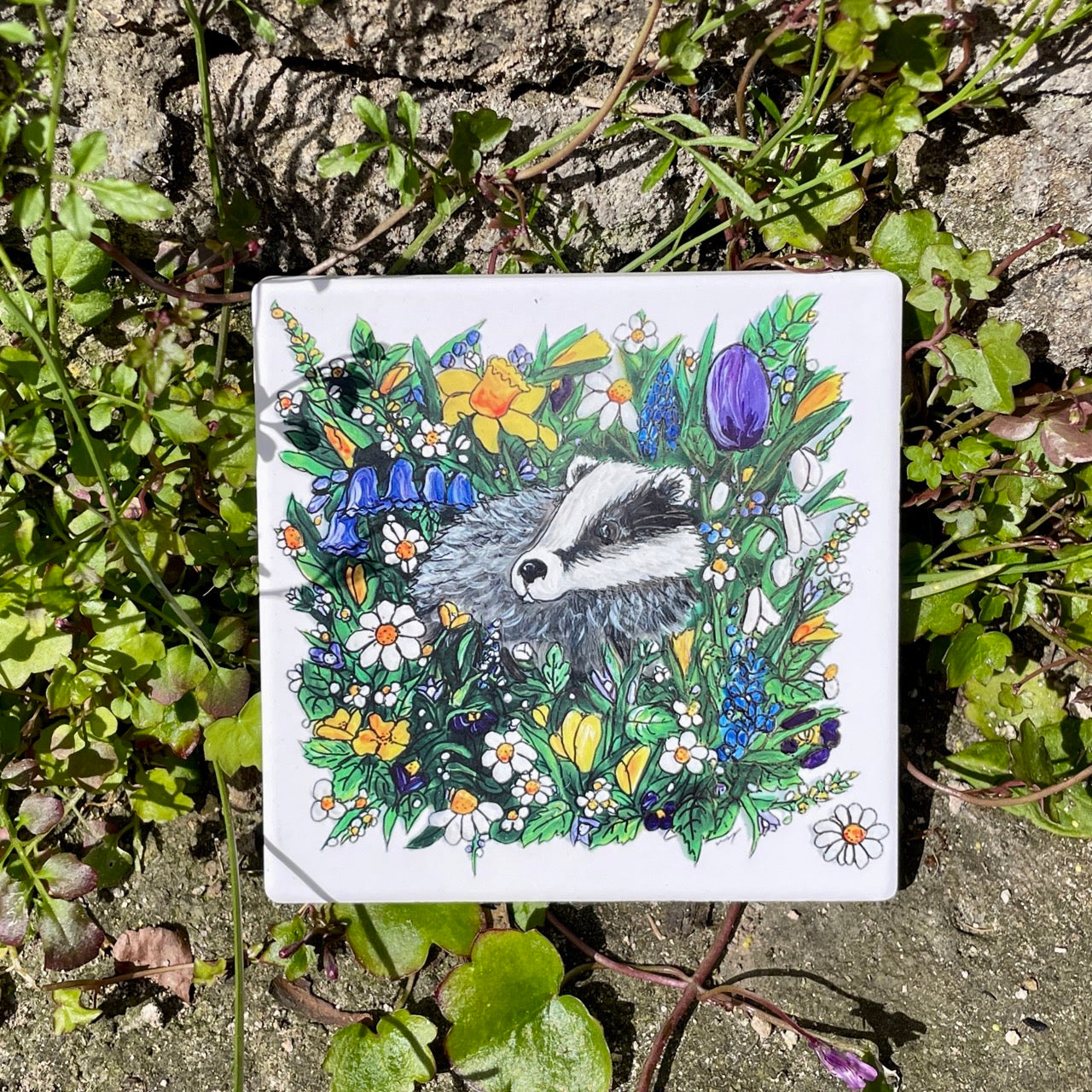 Badger in spring~ Ceramic coaster