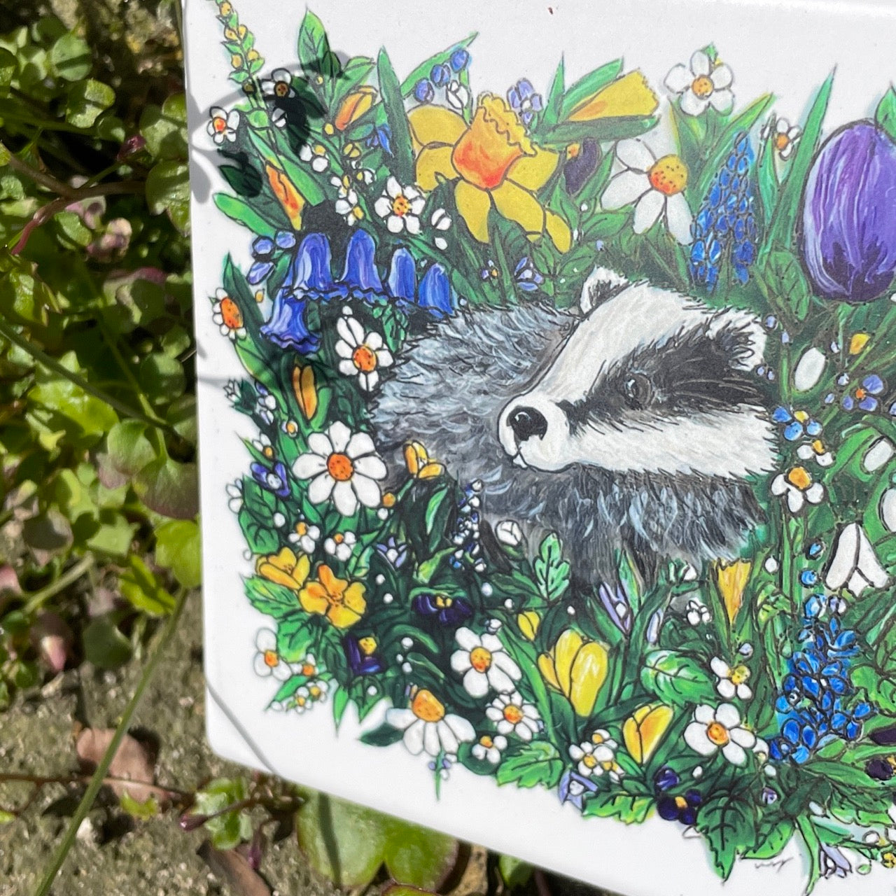 Badger in spring~ Ceramic coaster