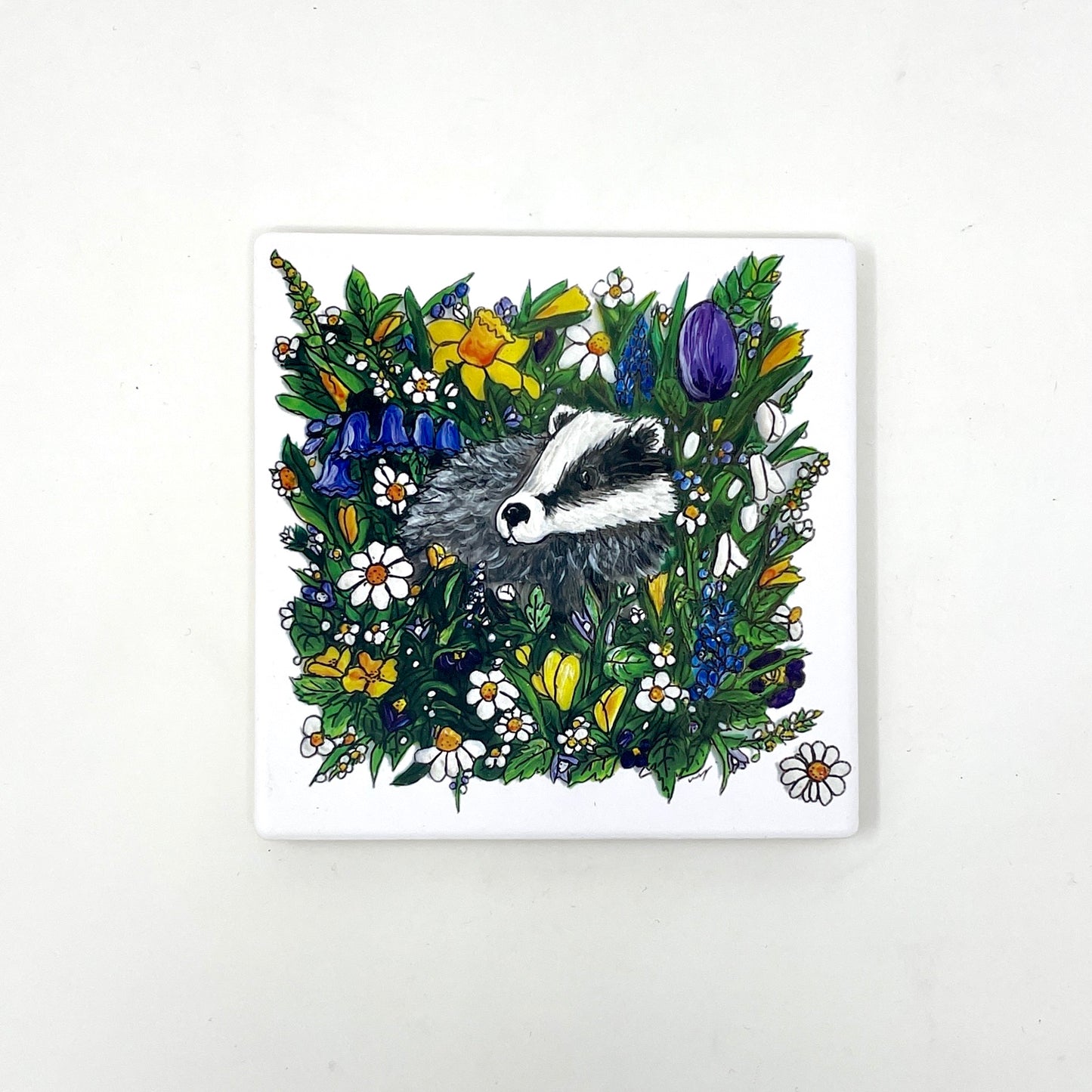 Badger in spring~ Ceramic coaster