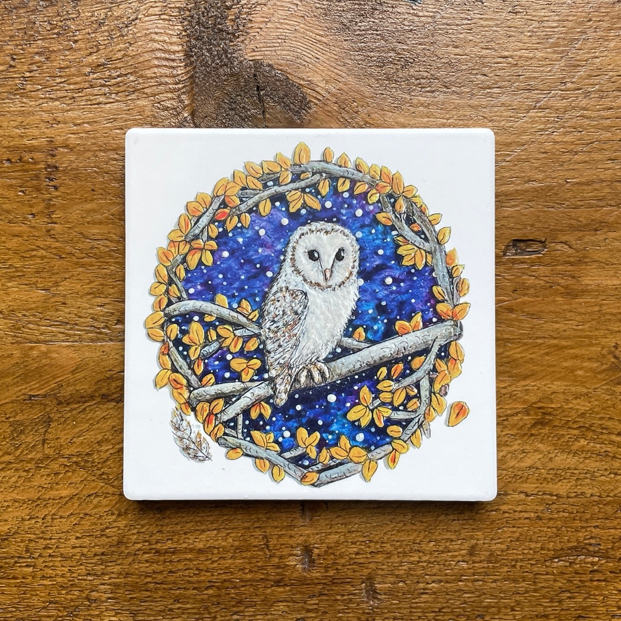 Barn Owl~ Ceramic coaster