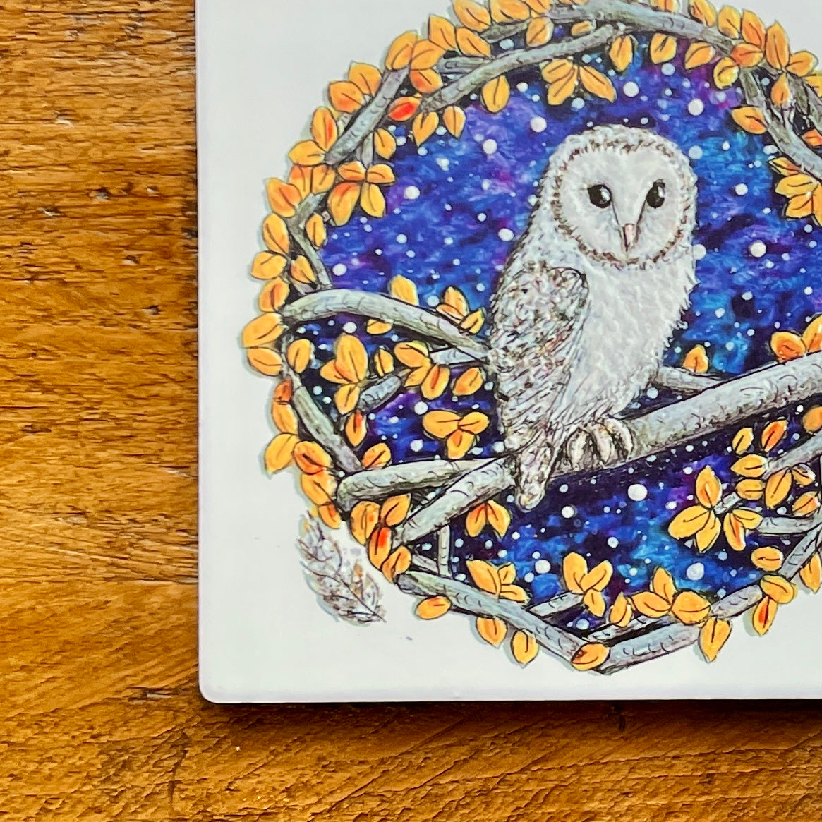 Barn Owl~ Ceramic coaster