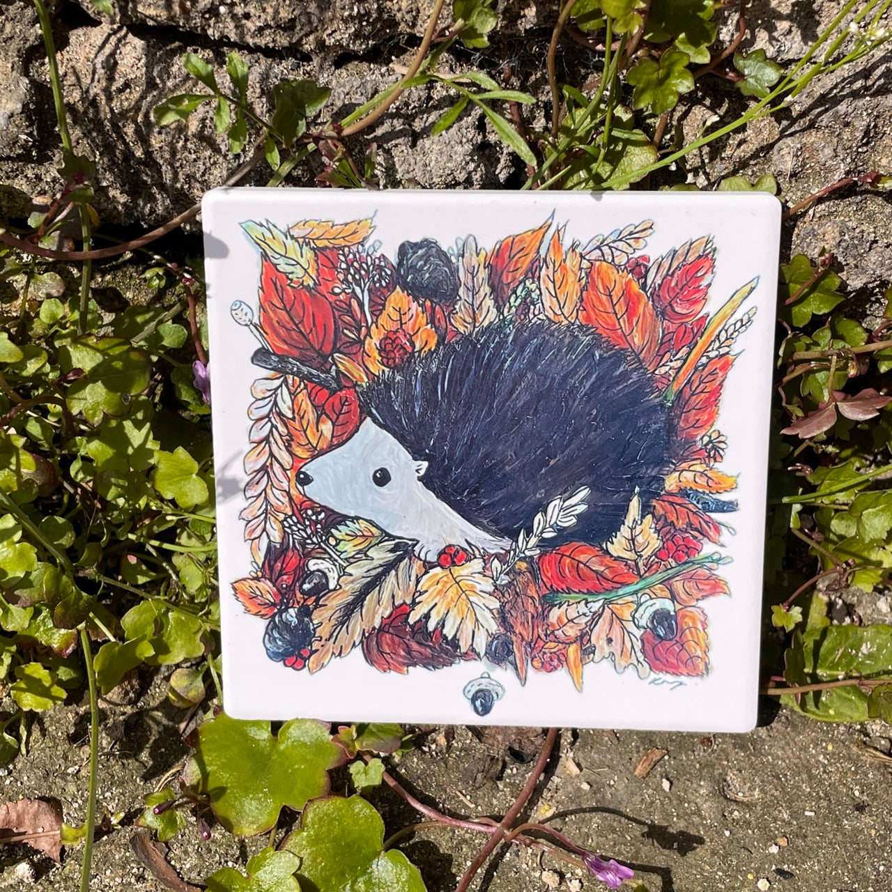 Hedgehog in autumn~ Ceramic coaster