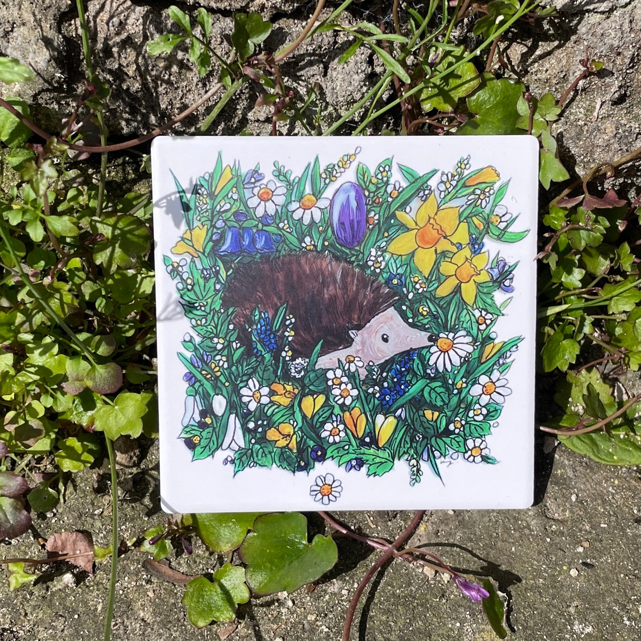 Hedgehog in spring~ Ceramic coaster