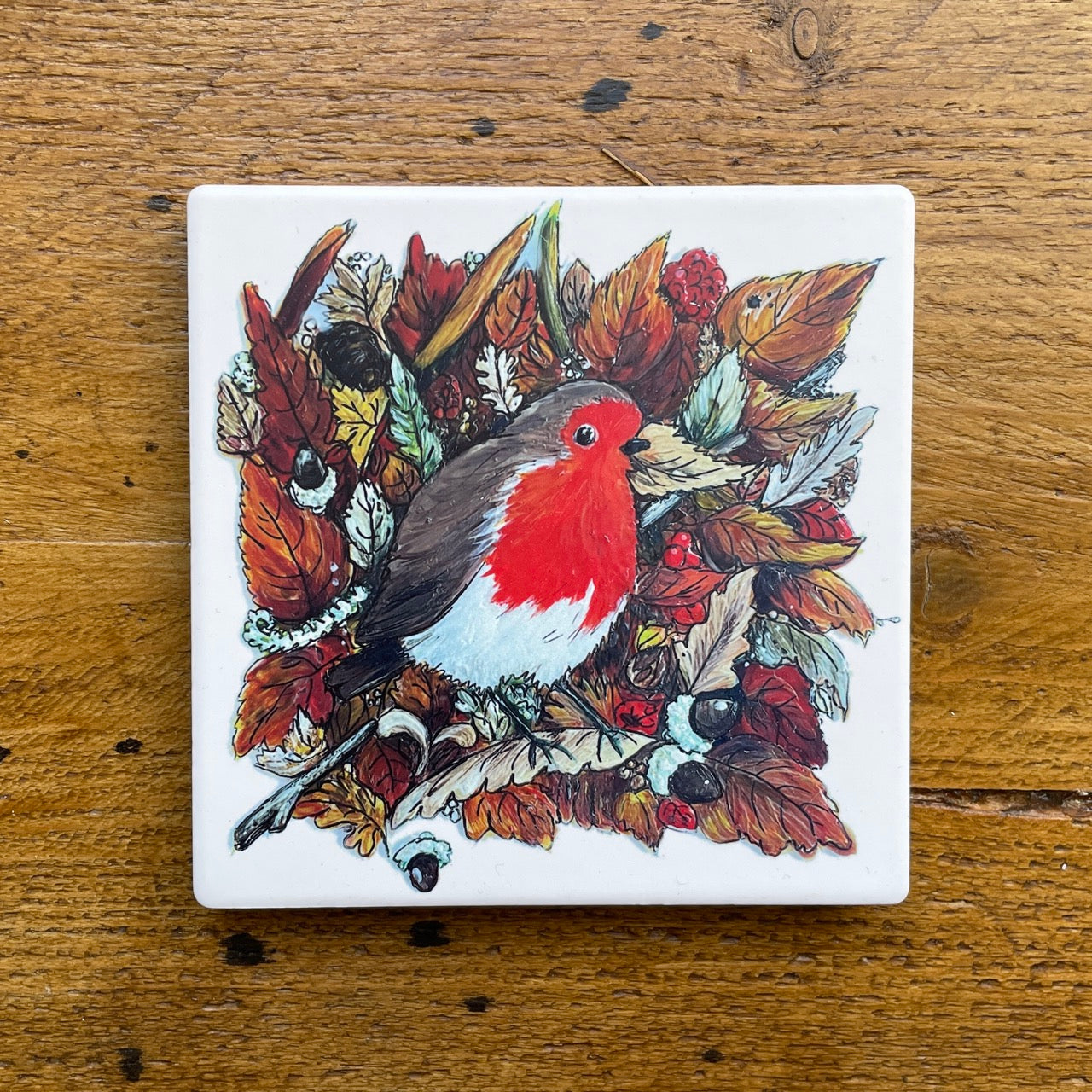 Robin in autumn~ Ceramic coaster