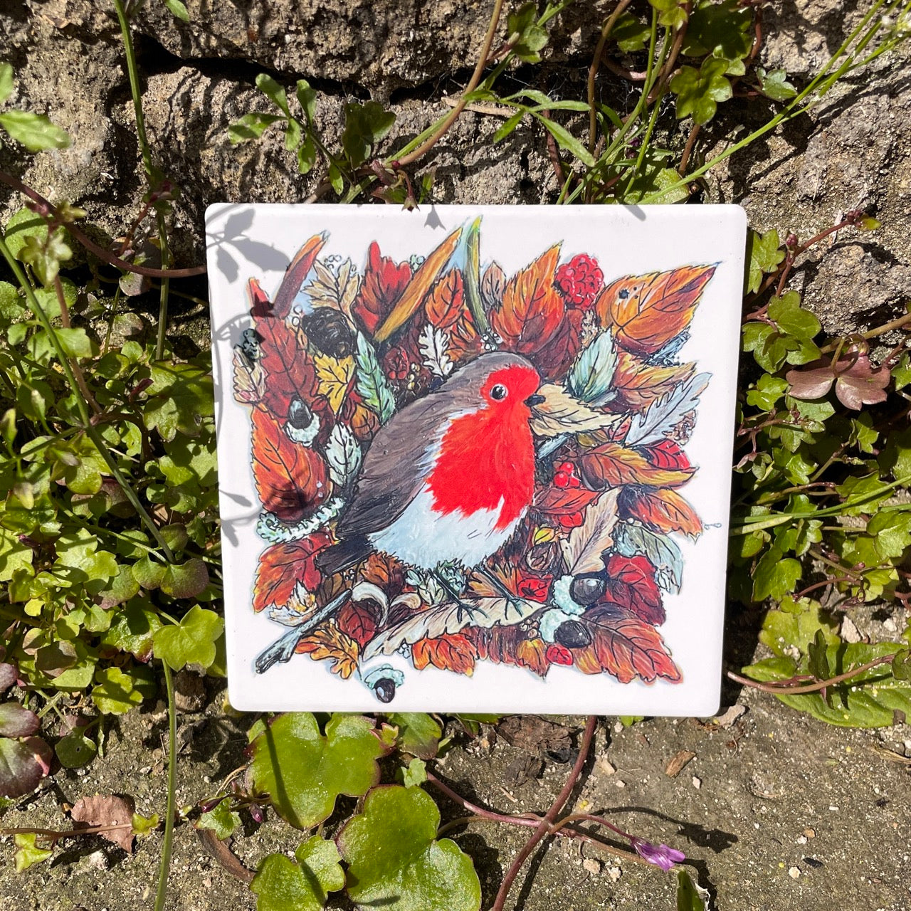 Robin in autumn~ Ceramic coaster
