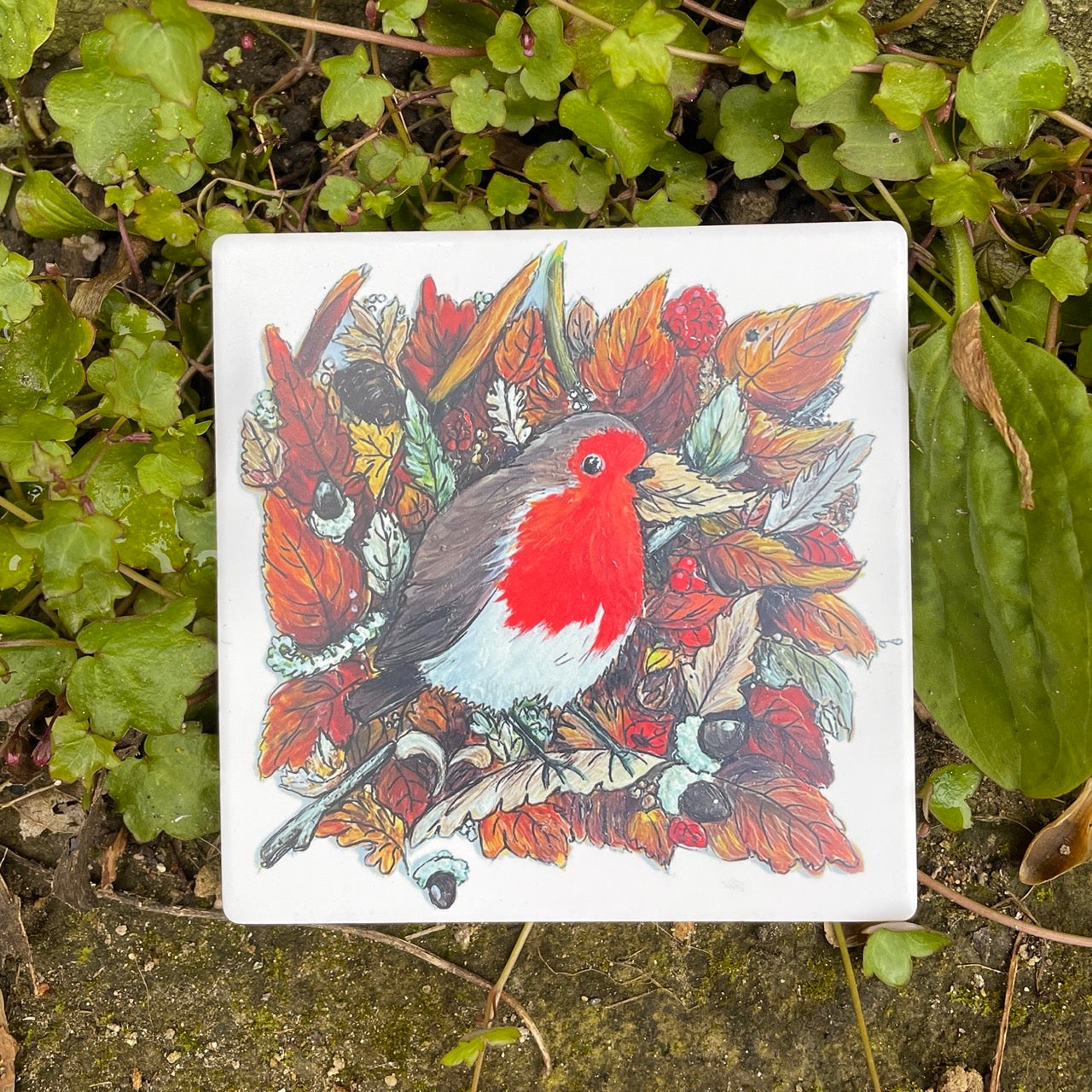 Robin in autumn~ Ceramic coaster