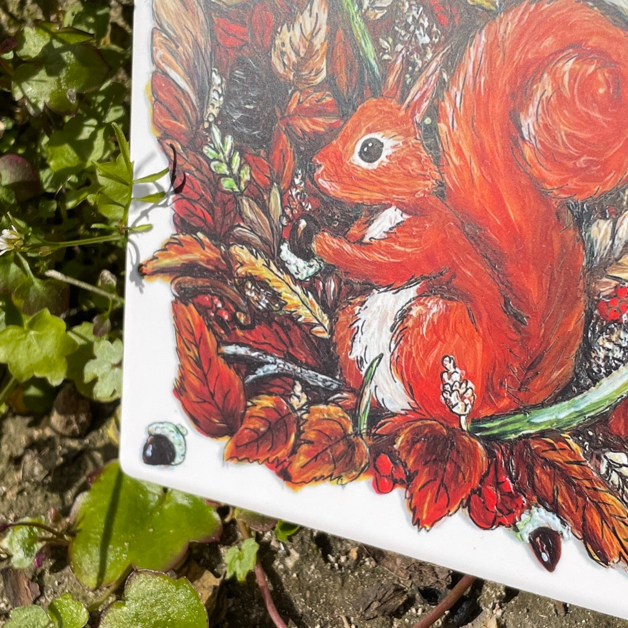 Squirrel in autumn~ Ceramic coaster & Easel