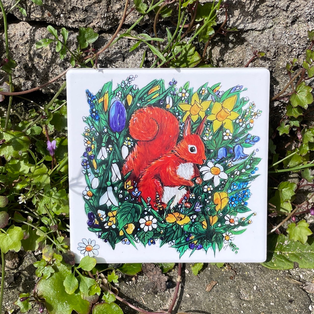 Squirrel in spring~ Ceramic coaster