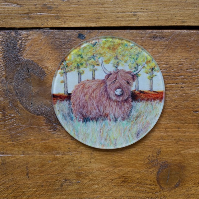 Hamish~ Glass coaster