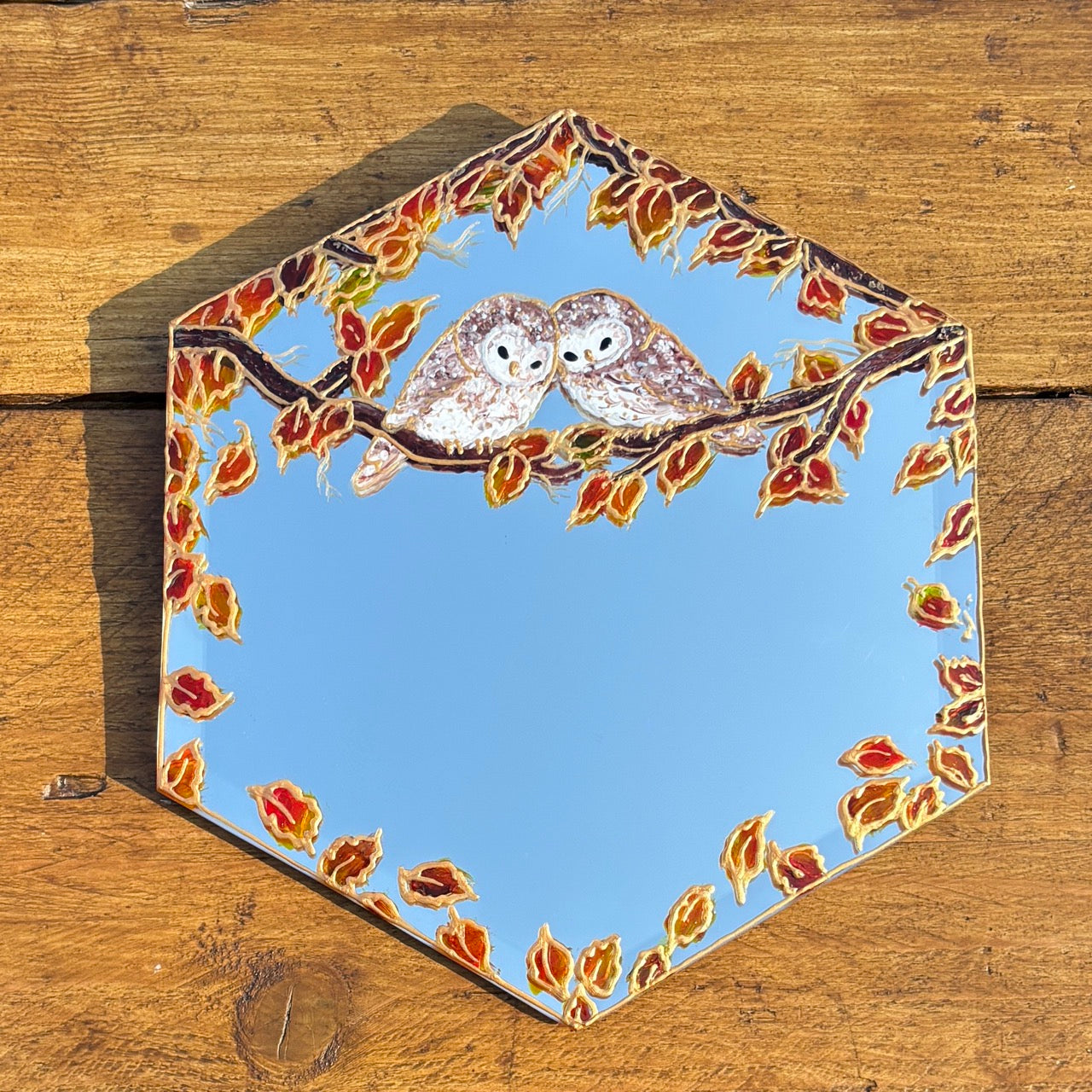 Cozy Owls~ One of a kind small hexagon mirror