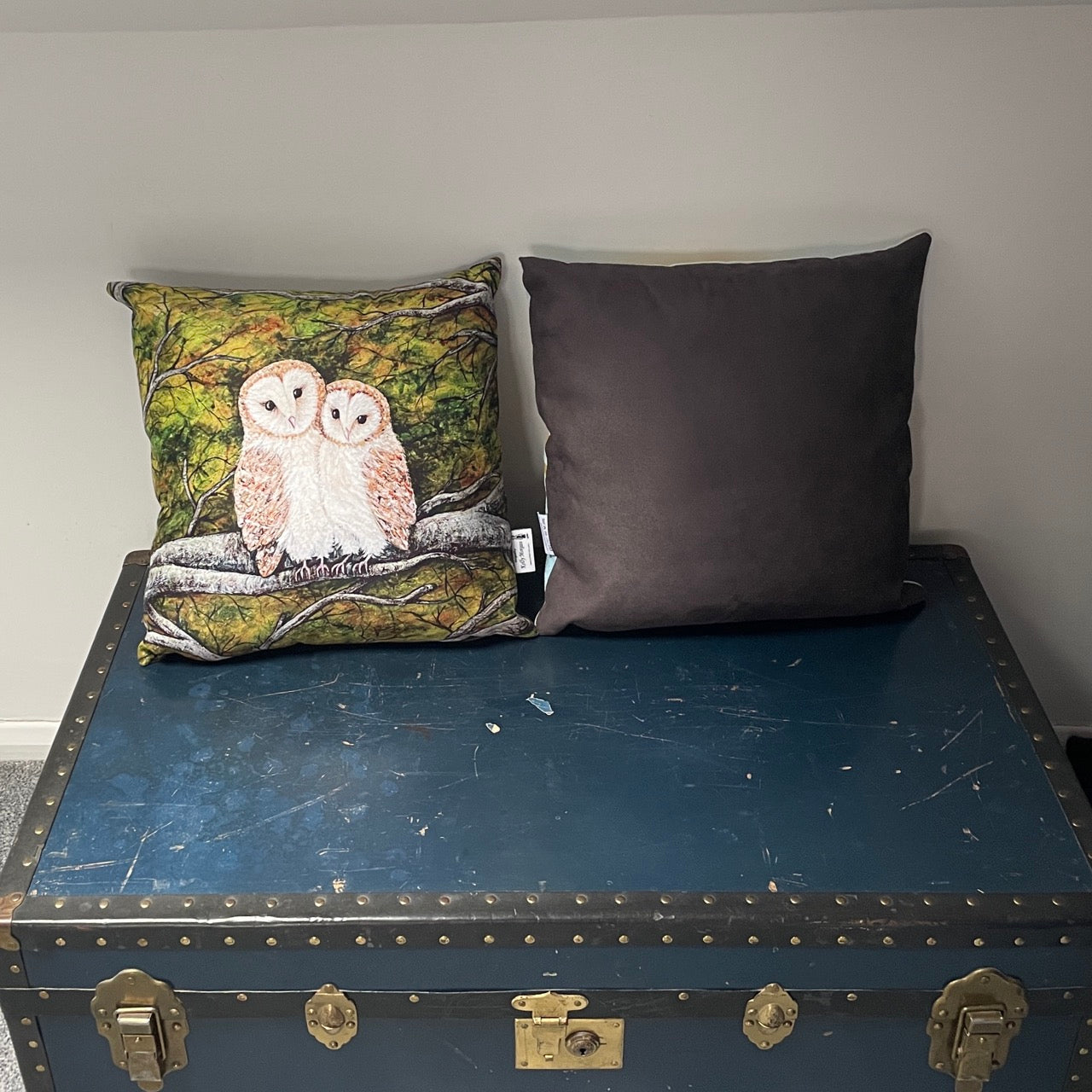 Barn to love you~ Cushion