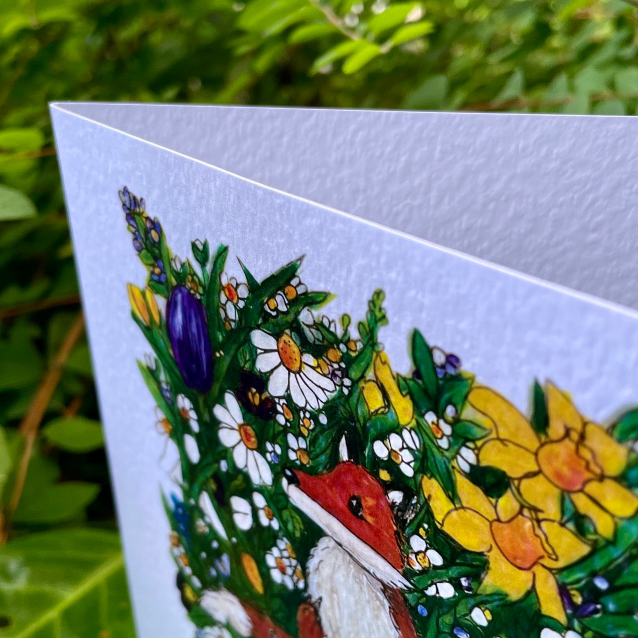 Card~Fox in Spring