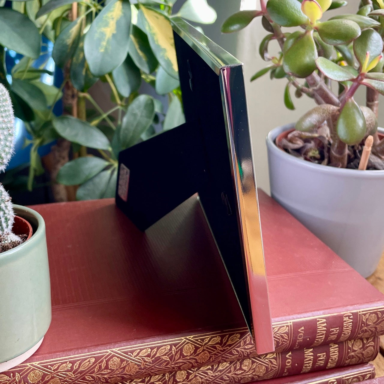 Red leaf~ Landscape frame