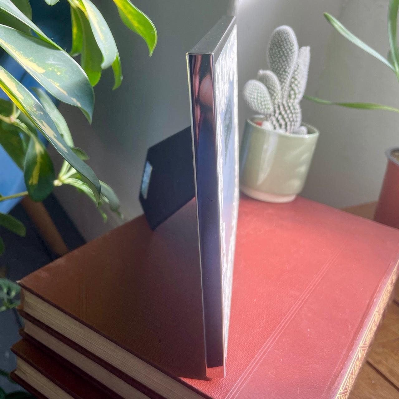 Silver leaves~ Landscape frame