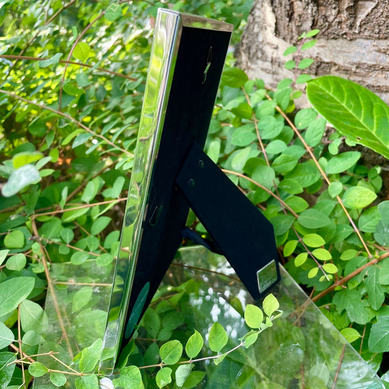 Hedgehog in autumn~ Portrait frame