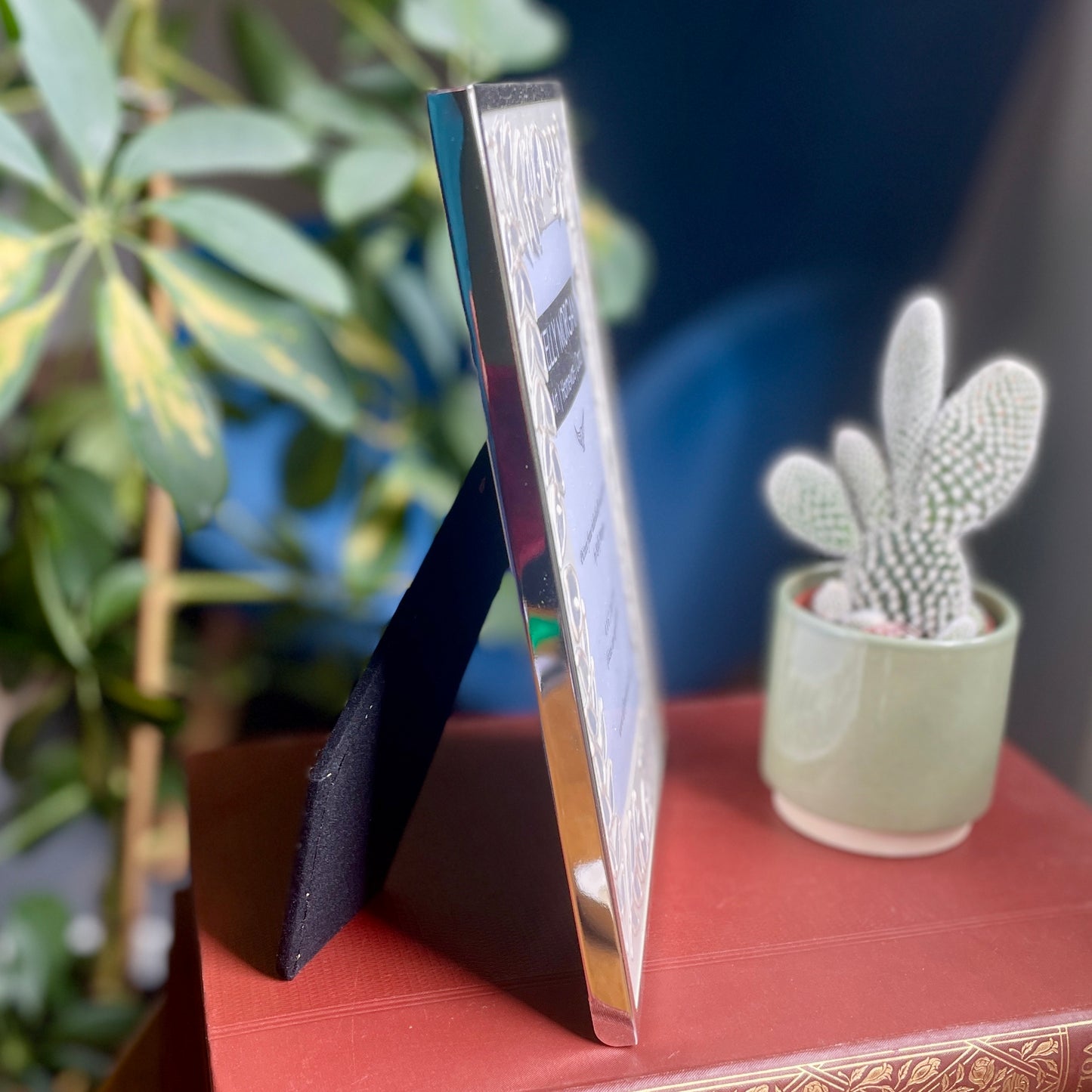 Silver leaves~ Portrait frame