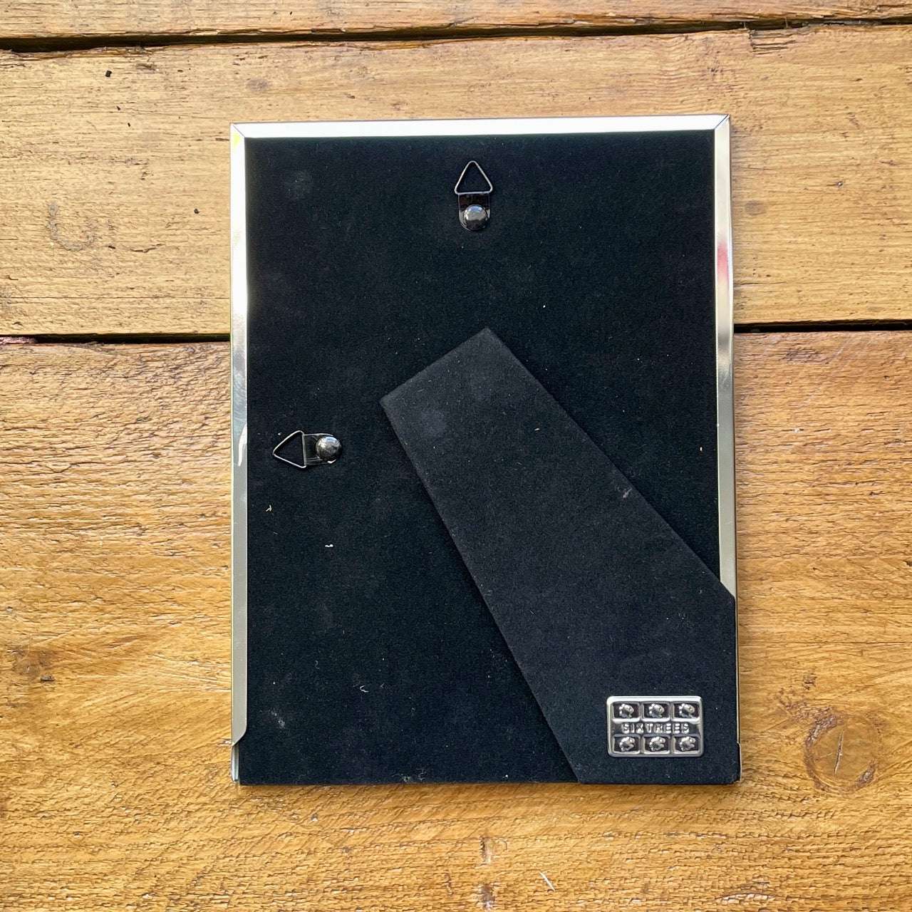 Snowdrops~ Portrait frame