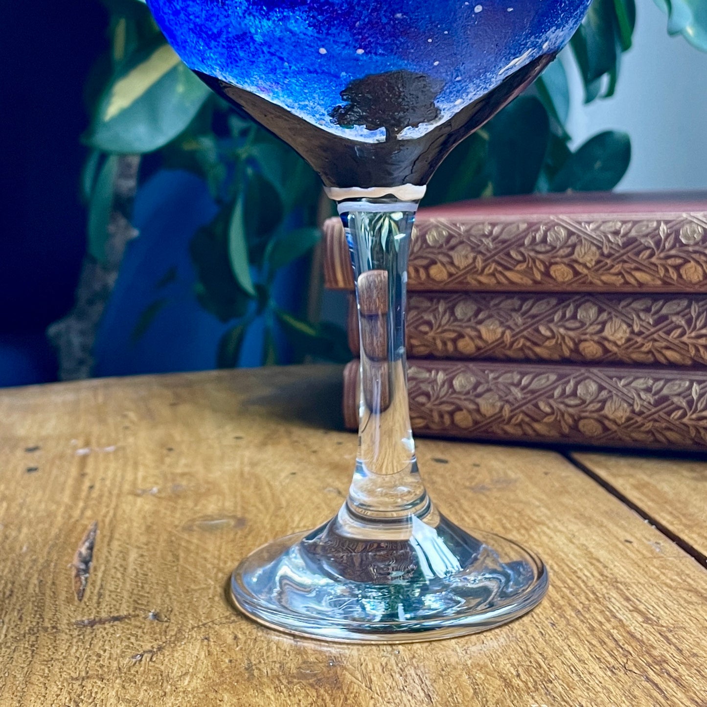 Starry sycamore~ Gin glass