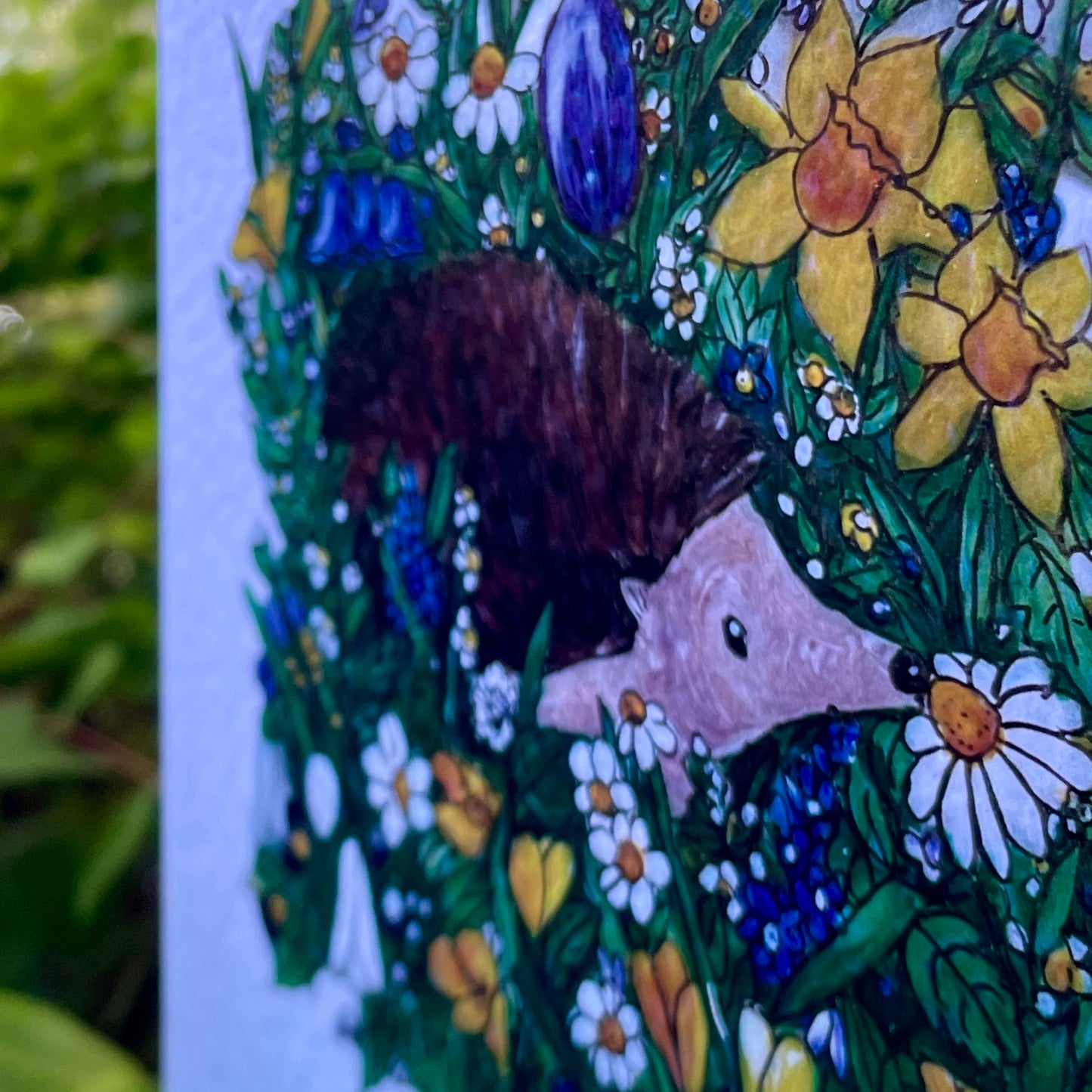 Card~Hedgehog in Spring