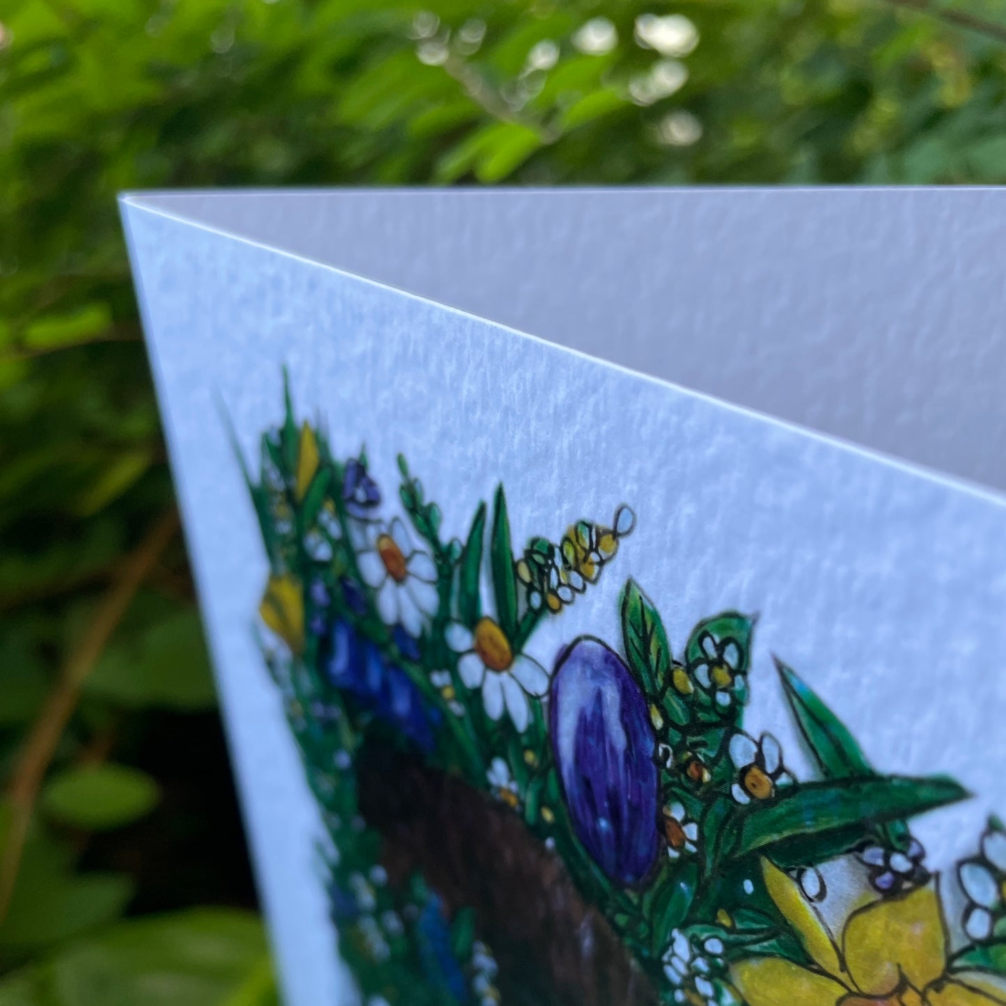 Card~Hedgehog in Spring