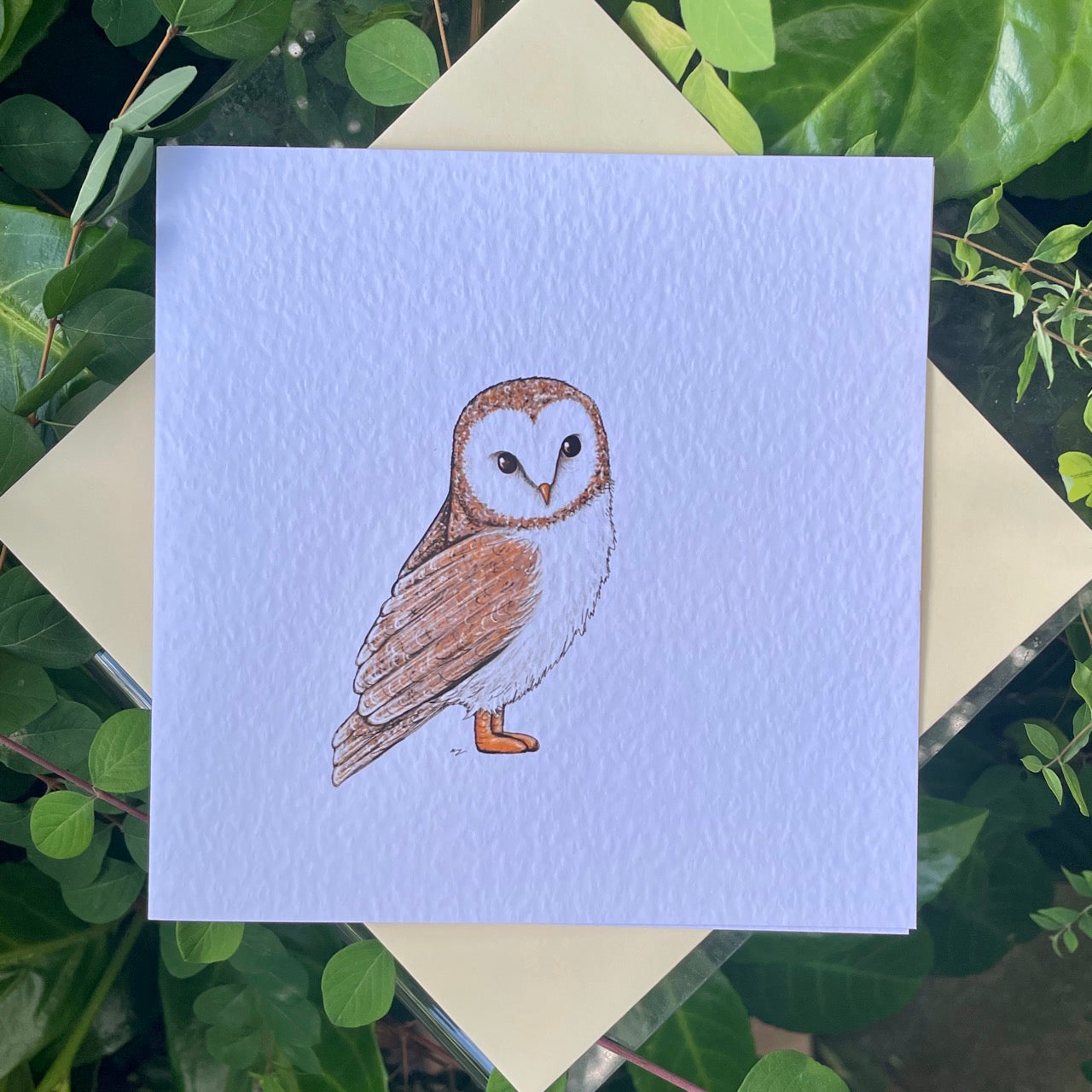 Card~Owl