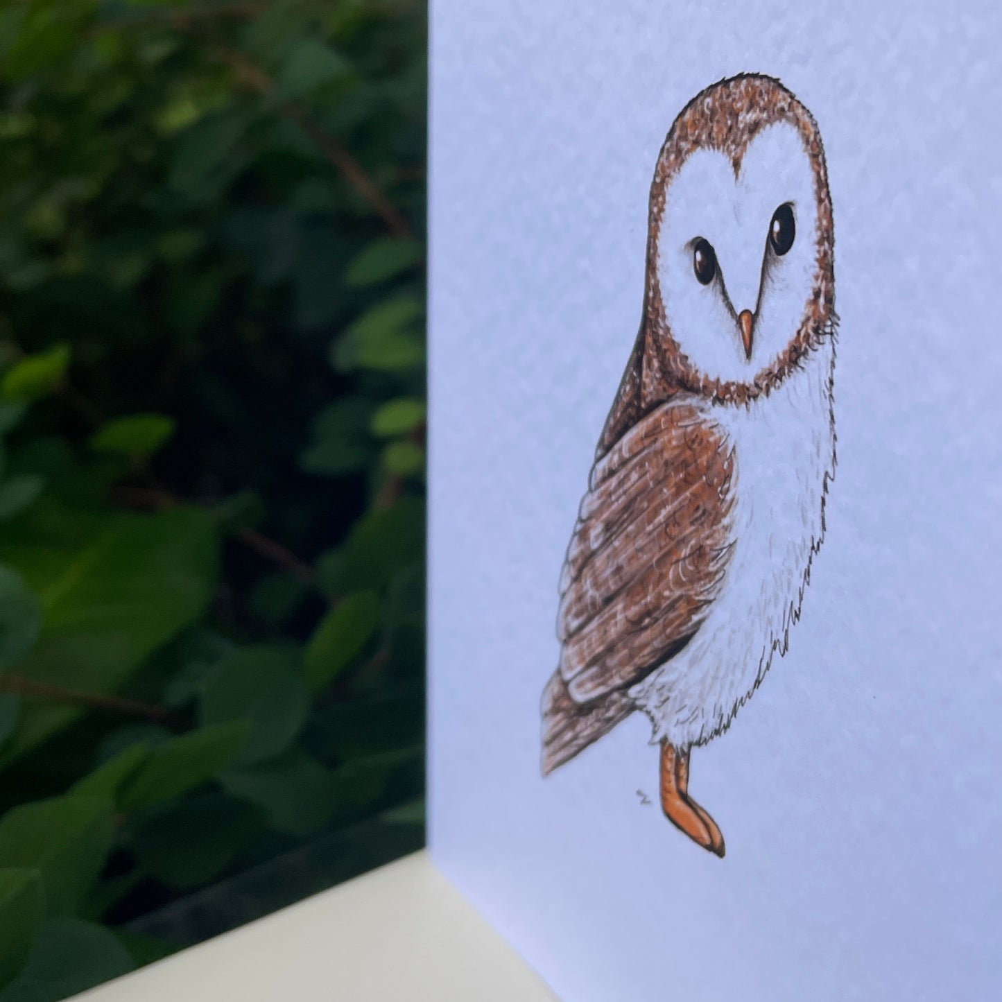 Card~Owl