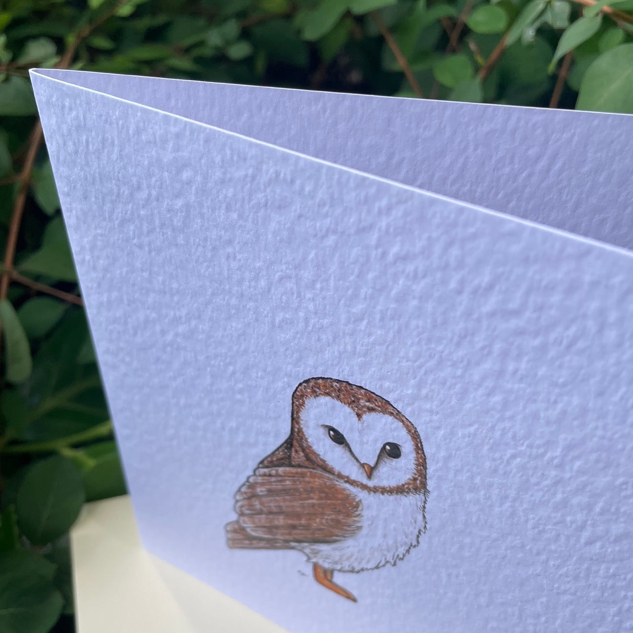 Card~Owl