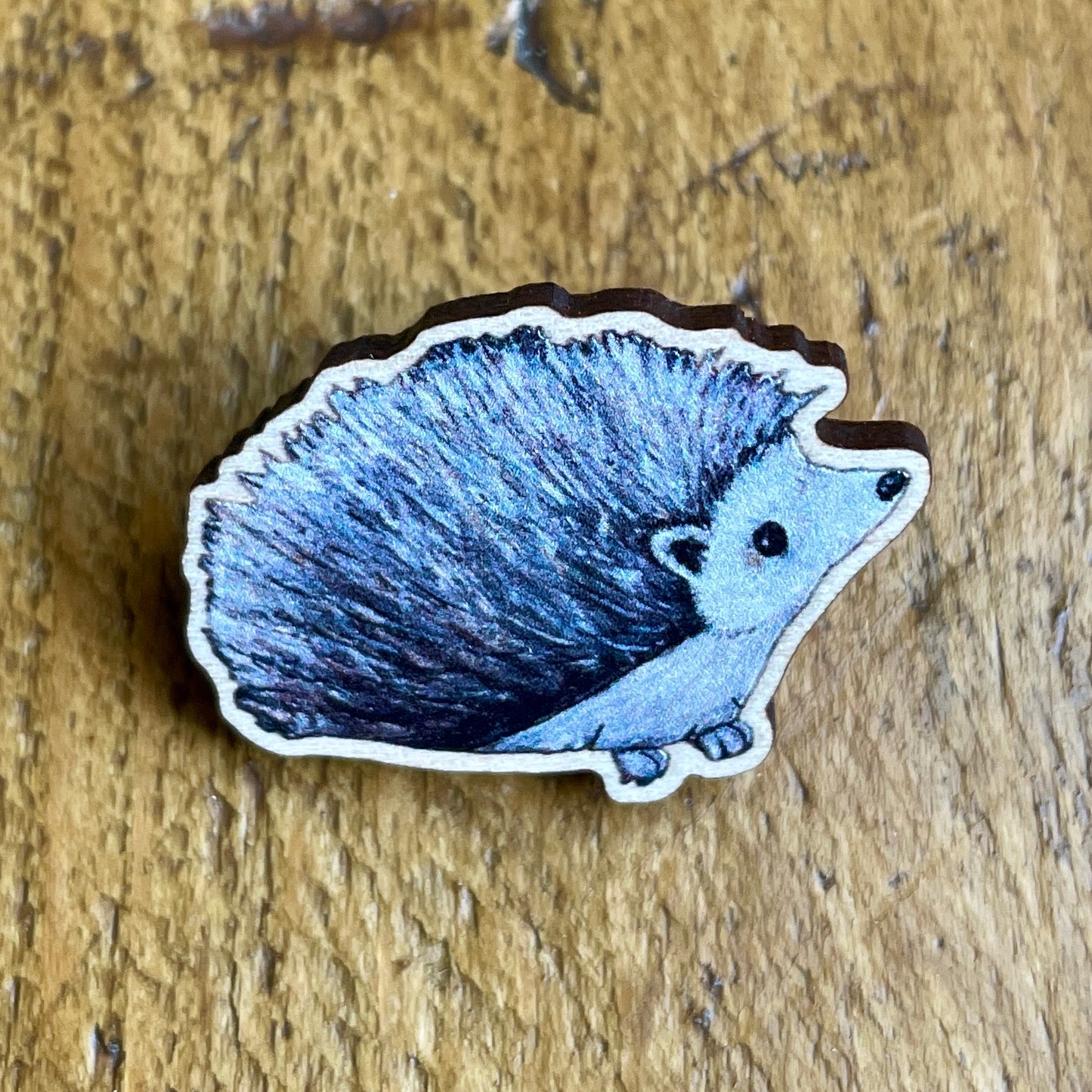 Hedgehog~ Pin badge