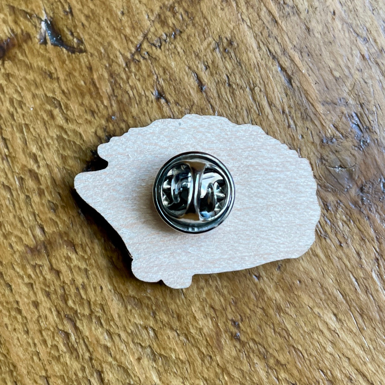 Hedgehog~ Pin badge