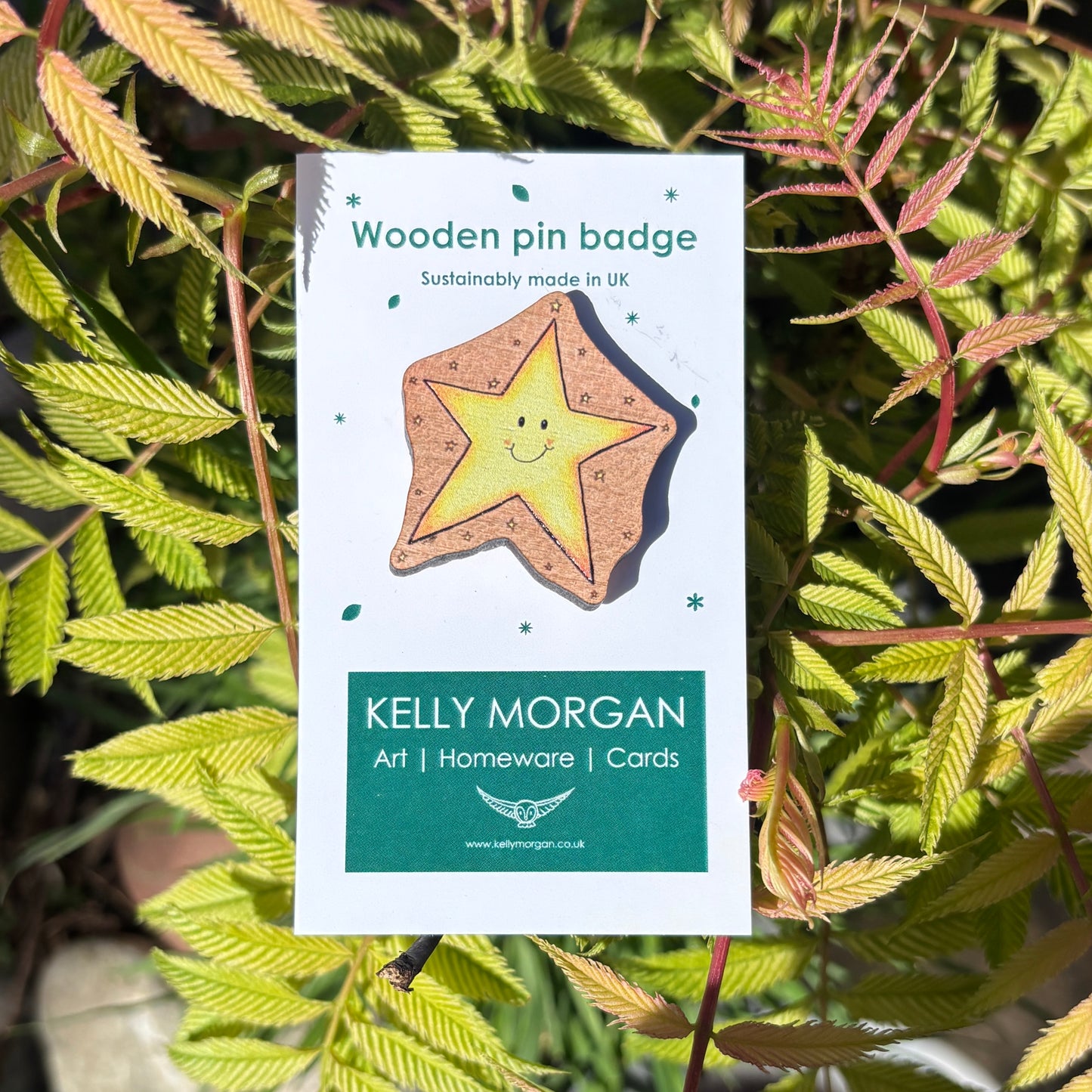 Star~ Pin badge