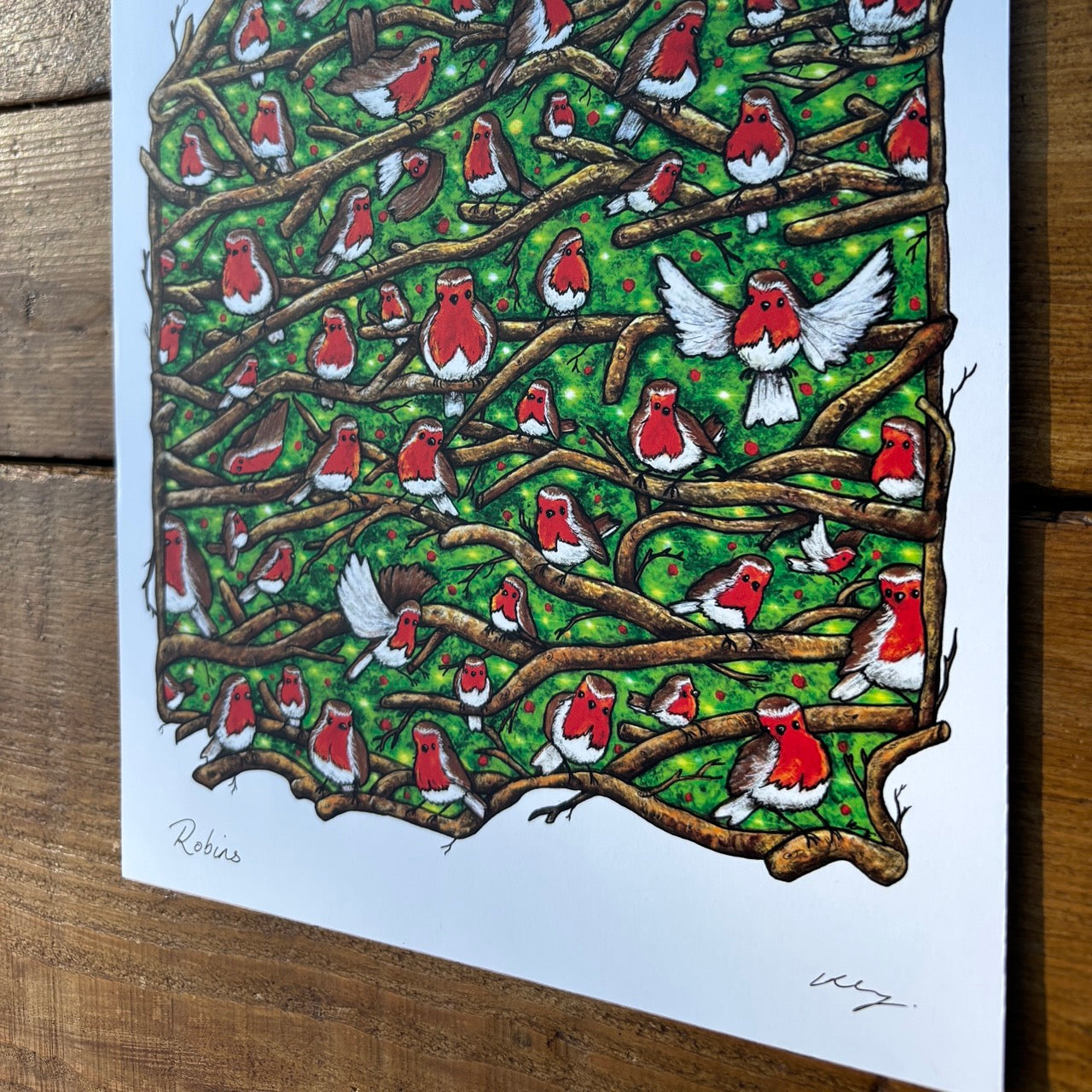 Art Print~ Robins