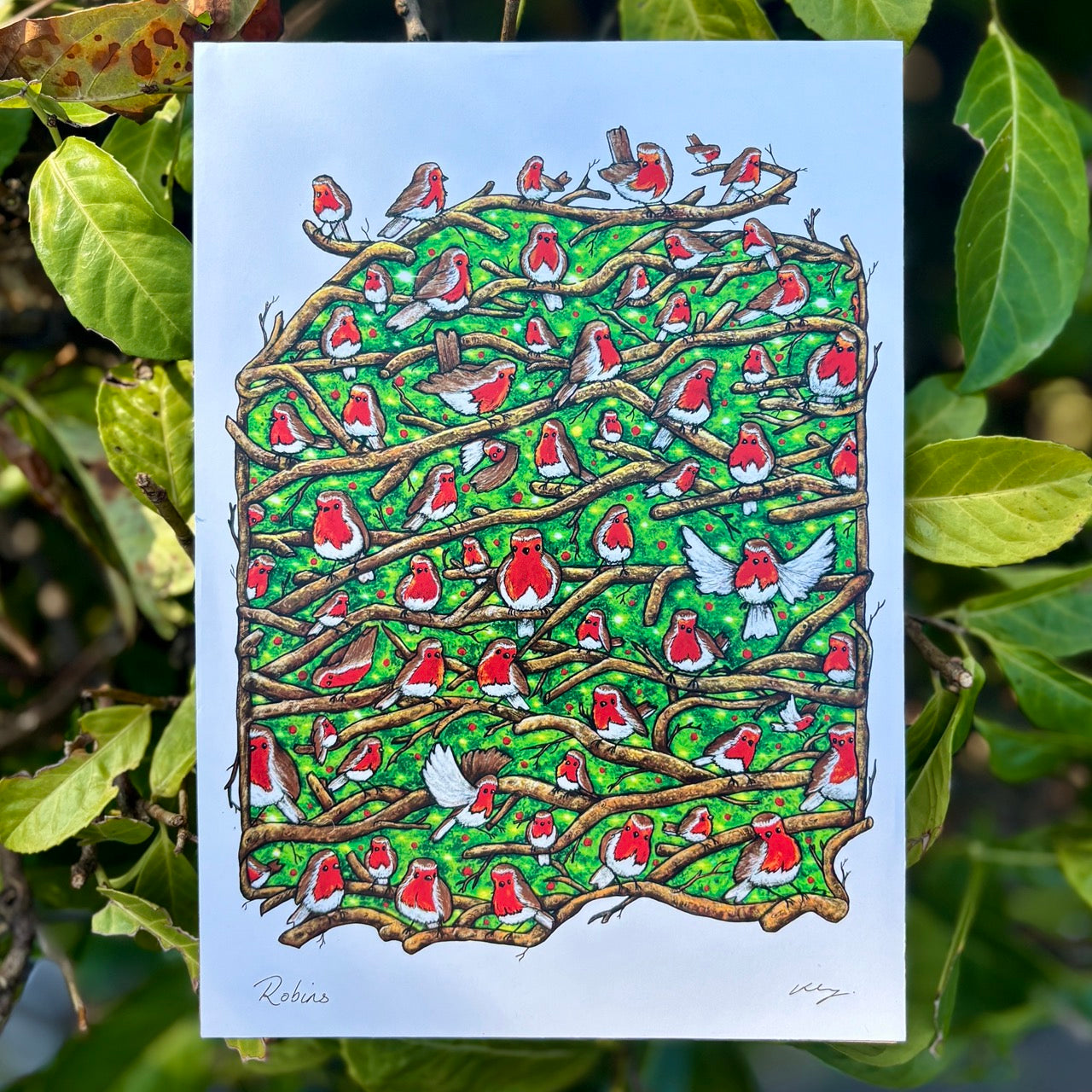 Art Print~ Robins