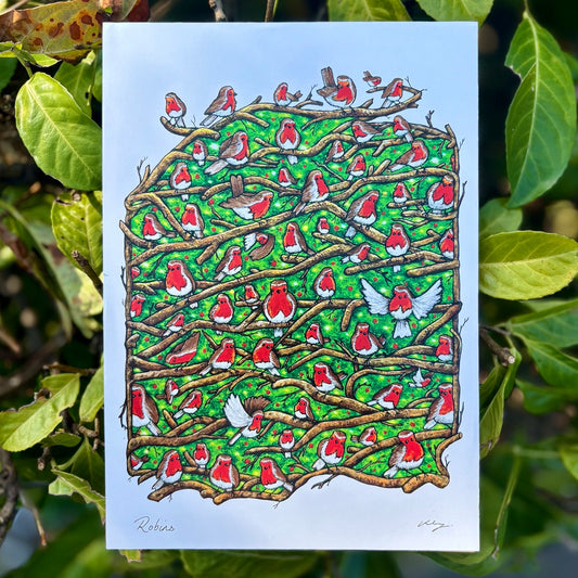 Art Print~ Robins